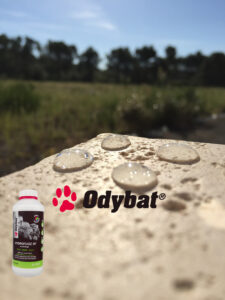 Hydrofuge professionnel Toitures, murs, sols